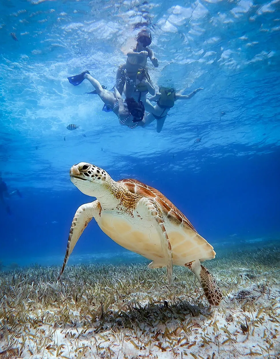 Tourquesa Adventures